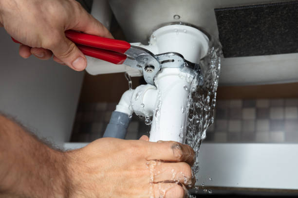 Best Flood damage cleanup  in Elmer, NJ
