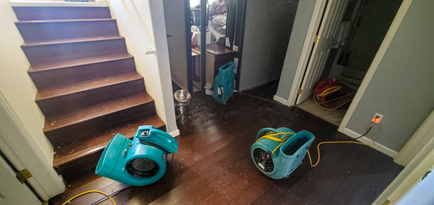 Best Water damage restoration near me  in Elmer, NJ