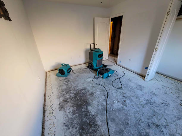 Best Fire Damage Restoration  in Elmer, NJ