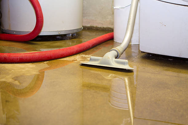 24/7 water damage repair in Elmer, NJ