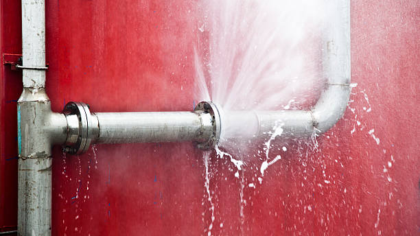 Reliable Elmer, NJ Water damage restoration Solutions